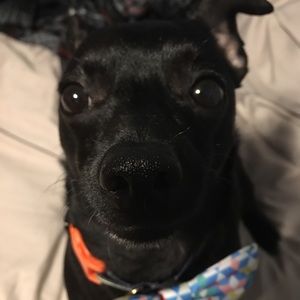 Meet your Posher, Jace